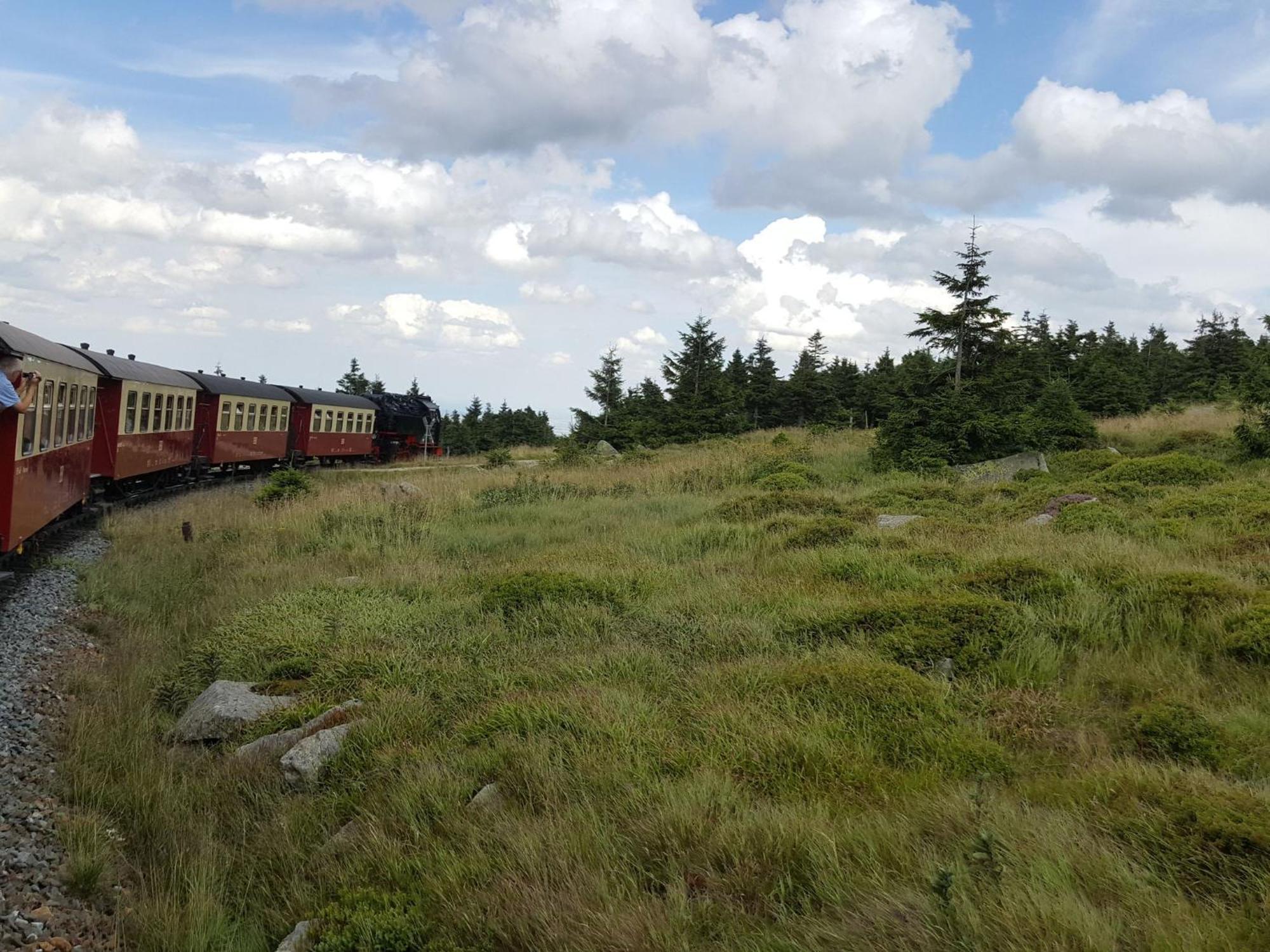 Holiday Home In Wieda With Sauna Eksteriør billede